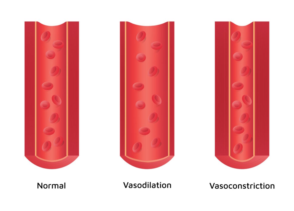 varicose veins vasodilation
